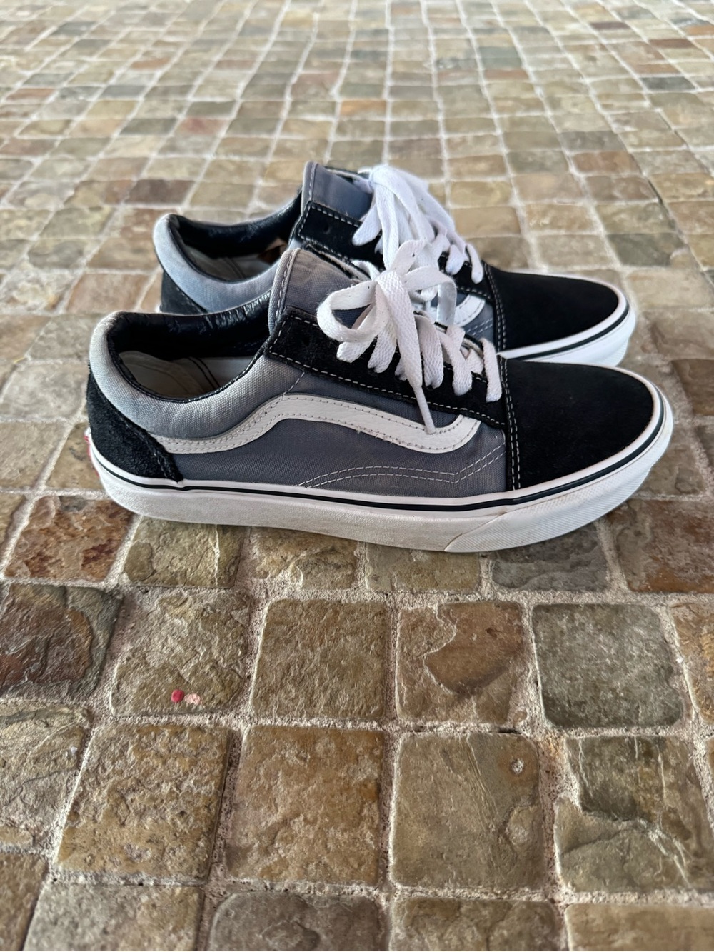 Vans Black and White Low-Top Skate Shoes